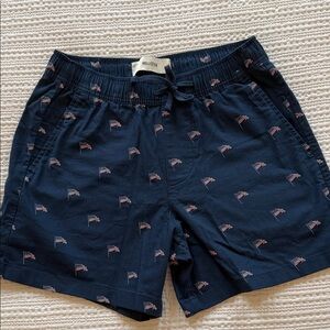 Hollister Dark Blue Flag Patterned Shorts